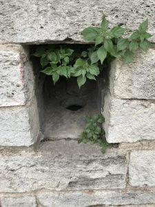 Safiye Hanım Sultan Sebili