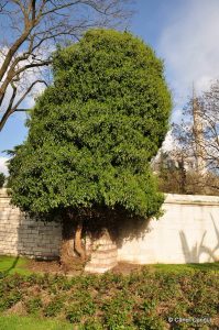 Şehzadebaşı Su Terazisi