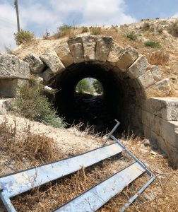 Seleucia Antik Tiyatro