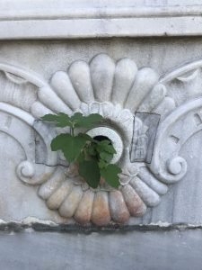 Abdülaziz Han Çeşmesi