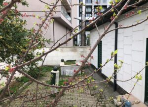 Topçubaşı Esat Ağa Kabri