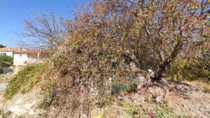 Rüstem Paşa Hamamı, Urla