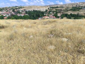 Kululu Tabal Harabeleri