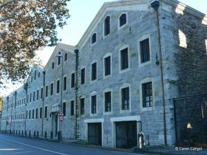 Hububat Ambarları, Paşalimanı