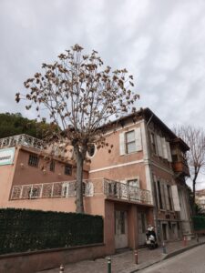 Konut (1), Karşıyaka