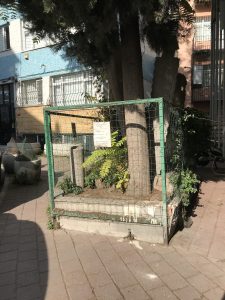 Sertarikzade Tekkesi Haziresi