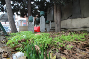 Seyyid Baba Haziresi