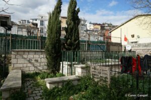 Nimelceyş Kabri 3, Cankurtaran