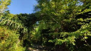 Kıyısız Kemer Köprüsü