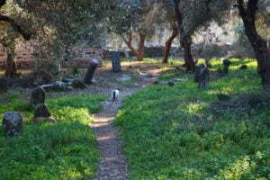 Kazanoğlu Camii Haziresi