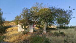 Anonim Türbe, Karpuzlu