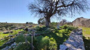 Seymenlik Zaviyesi, Beçin