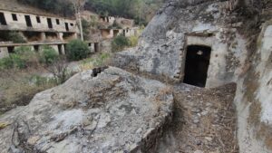 Ortakçı Kaplıcası