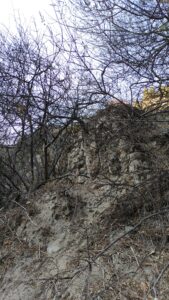 Ortakçı Kaplıcası