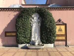 Selsebil, Cankurtaran