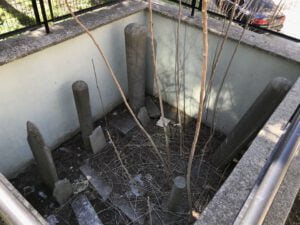 Hazire, Düğmeciler