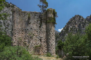watermarked_11274(1)