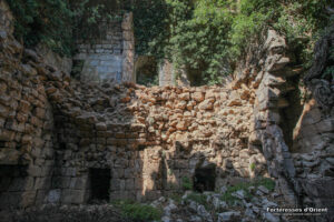 watermarked_11275(1)