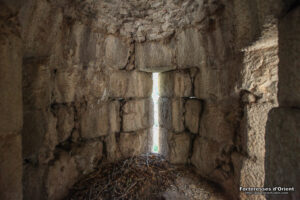 watermarked_11278(1)