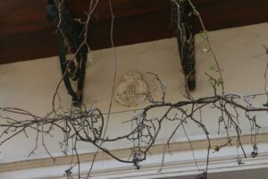 Kuşadası Halk Kütüphanesi