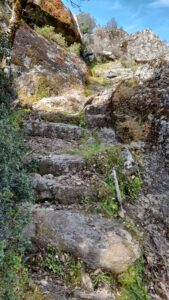 Bağarcık Yukarı Yerleşme