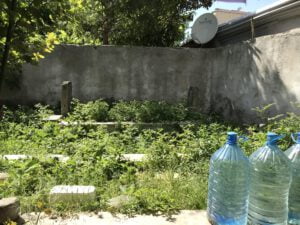 Karayel Sokak Haziresi