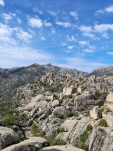 Bağarcık Yukarı Yerleşme