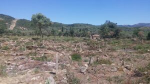 Eski Kızılcapınar Mezarlığı