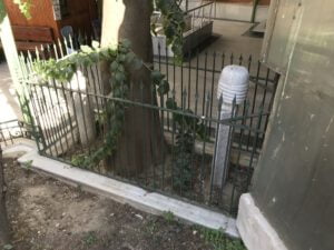 Şeyh Mustafa Niyazi Kabri