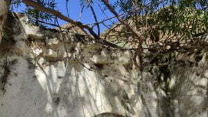 Cılımbız Mevki Çeşmesi