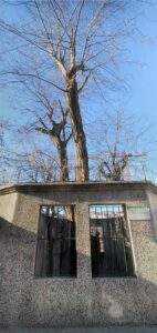 Bostan Dede Türbesi