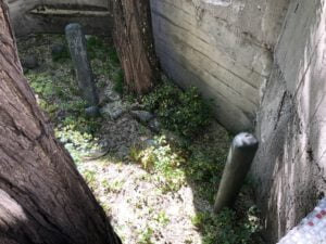 Bostan Dede Türbesi