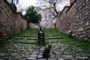 Kaptan Paşa Camii Merdivenleri