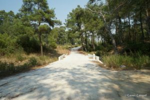 Taşkemer Köprüsü 3