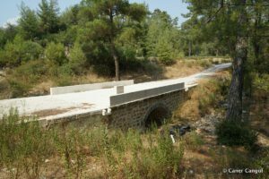 Taşkemer Köprüsü 3