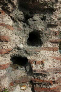 Sarnıç, Sümbül Efendi