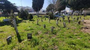 Ortakent Mezarlığı