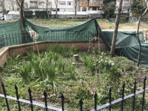 Mezarlık, Haseki Sultan