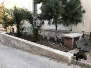 Kapı Ağası Mahmut Ağa Camii Haziresi