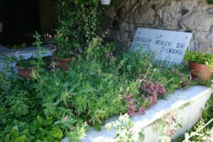 Eskişehir Mevlevi Haziresi