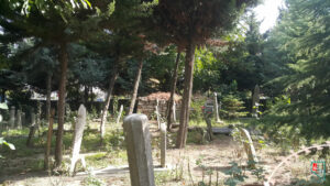 Yâ Vedüd Haziresi