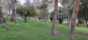 Surp Asdvadzadzin Ermeni Manastırı Mezarlığı