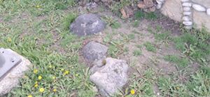 Surp Asdvadzadzin Ermeni Manastırı Mezarlığı'ndaki diğer taşlar