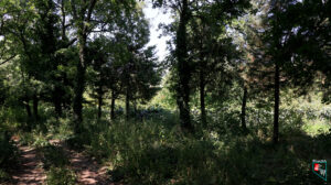 Akçat Şamlılar Mezarlığı