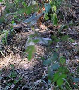 Akçat Şamlılar Mezarlığı