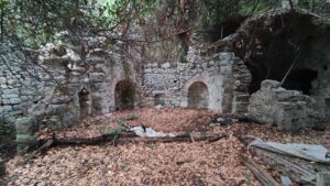 Olympos Mozaikli Yapı