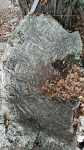 Olympos Mozaikli Yapı