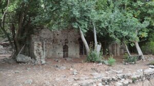 Olympos Mozaikli Yapı