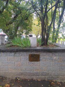 WhatsApp Image 2022-10-15 at 23.14.42