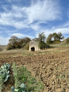 Kirazlıyayla Kaya Mezarı